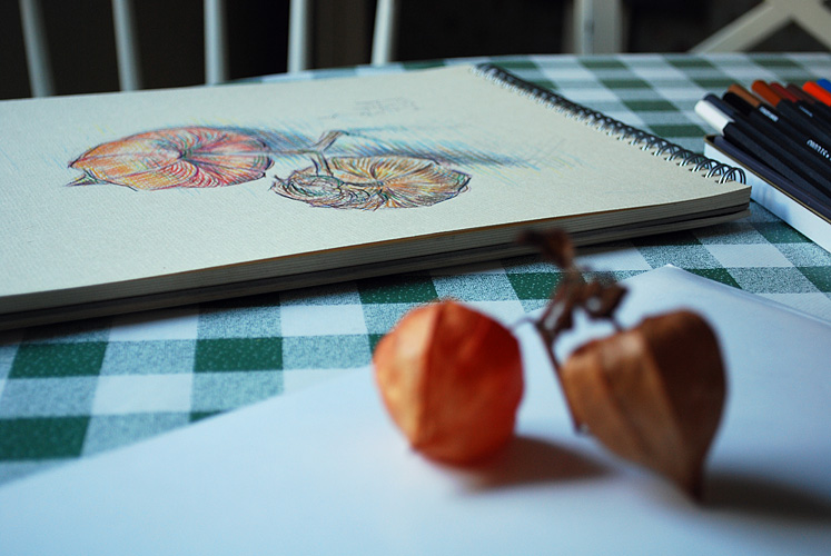 Chinese lantern fruit