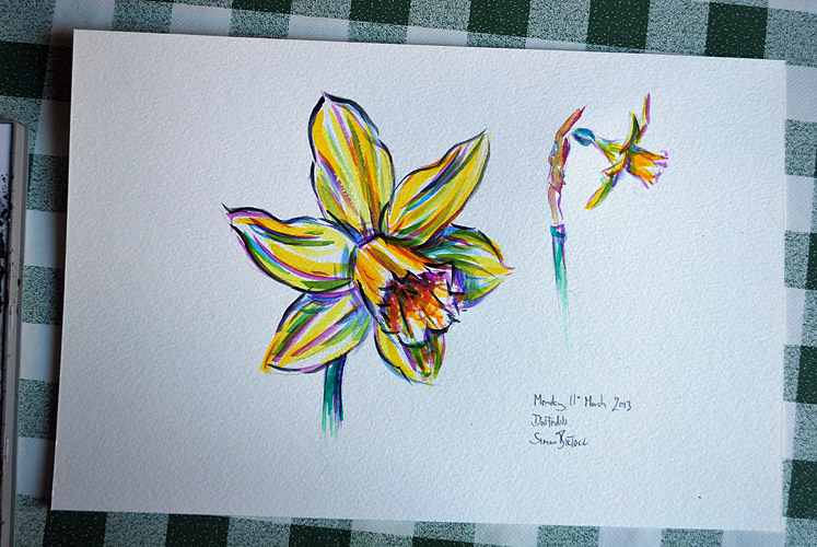 Watercolour painting of daffodils
