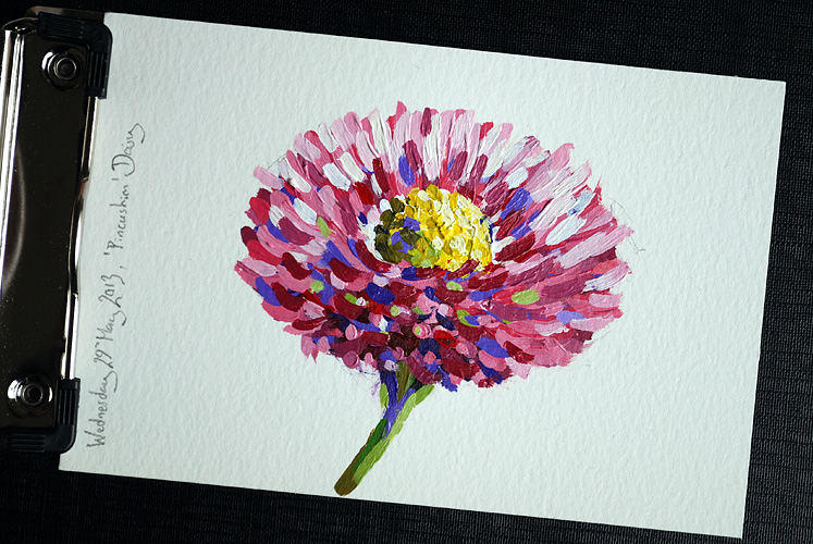 Pincushion Daisy by Simon Birtall