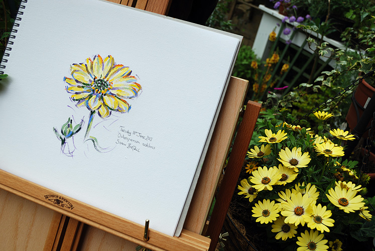 Painting in the garden - Simon Birtall