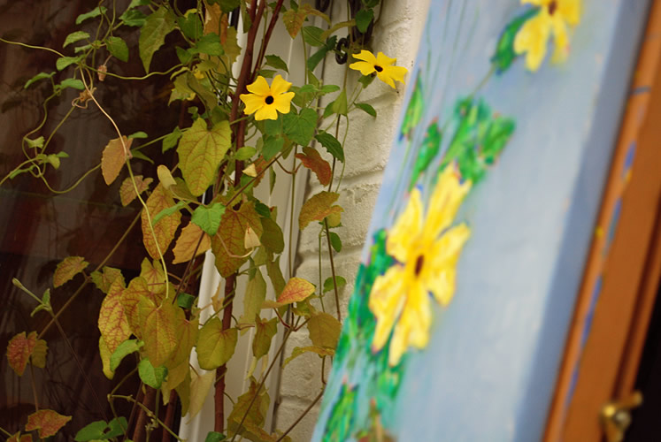 Painting a Black Eyed Susan