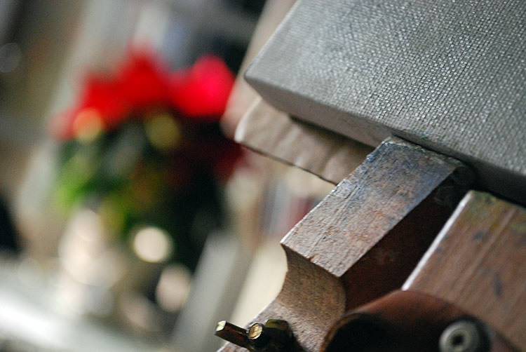 Painting a poinsettia